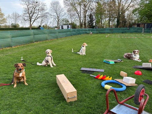 spuerhundsport club der hundefreunde lippstadt